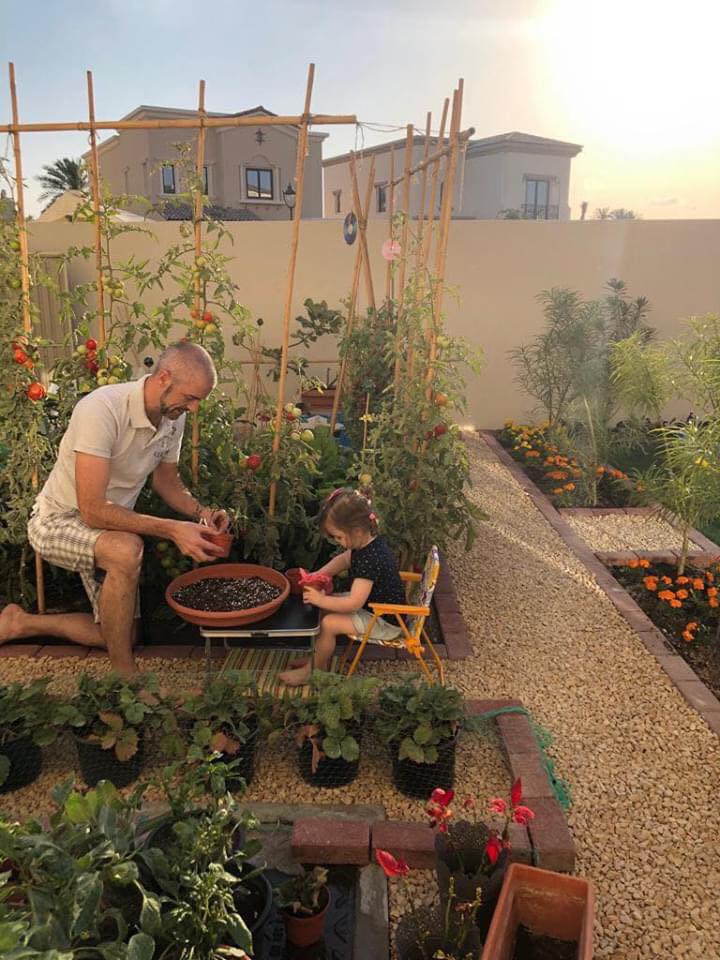 Vườn rau quả xanh um tươi tốt bố mẹ trồng giúp con gái nhỏ học nhiều điều về cuộc sống - Ảnh 8.