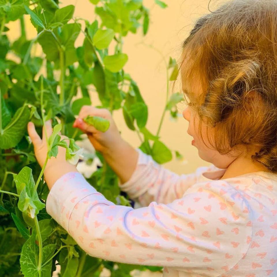 Vườn rau quả xanh um tươi tốt bố mẹ trồng giúp con gái nhỏ học nhiều điều về cuộc sống - Ảnh 15.