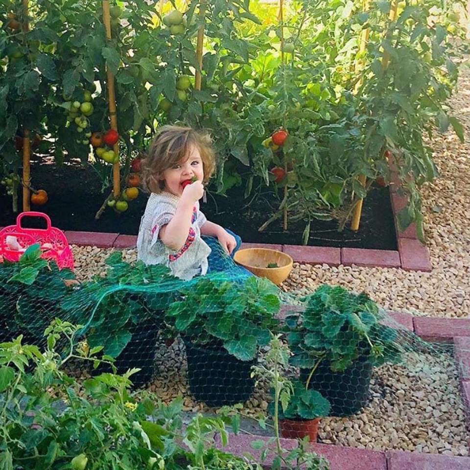 Vườn rau quả xanh um tươi tốt bố mẹ trồng giúp con gái nhỏ học nhiều điều về cuộc sống - Ảnh 14.