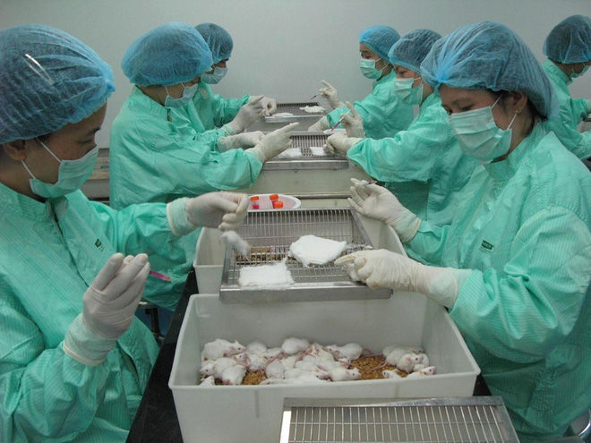 Kết quả thử nghiệm vắc xin Covid-19 trên chuột của Việt Nam sau 10 ngày ra sao? - Ảnh 1.