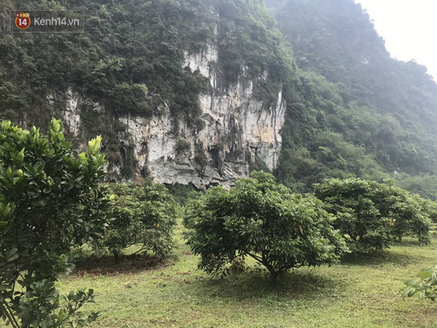 Vụ nghi mẹ ôm 3 bé gái nhỏ tự tử khiến 4 người tử vong: “Chồng nó nhìn thấy vợ bế các con đi nhưng tưởng sang nhà bà ngoại chơi thôi ai ngờ…” - Ảnh 1.