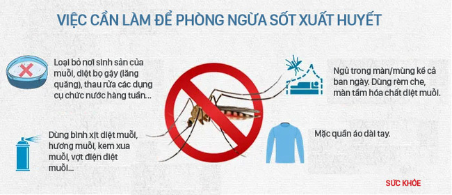 Mùa hè, đề phòng dịch sốt xuất huyết bùng phát, người dân cần làm ngay 4 việc này - Ảnh 1.