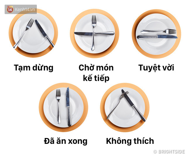 Những quy tắc lịch sự khi dùng bữa trong các nhà hàng sang trọng, cực kỳ cần thiết mà chúng ta thường xuyên bỏ qua - Ảnh 2.