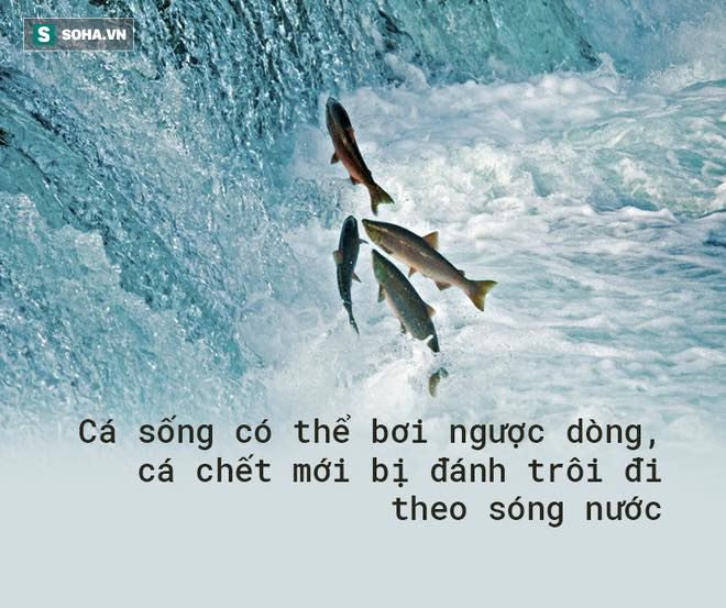 Có 4 biểu hiện này, chắc chắn bạn đang lão hóa, tụt hậu nhanh chóng: Hãy loại bỏ trước khi quá muộn - Ảnh 6.