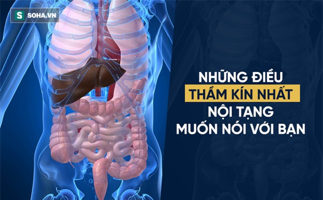 Cảm giác thèm tiết lộ sức khỏe của nội tạng: Cơ thể có vấn đề, khẩu vị sẽ mách bạn - Ảnh 1.