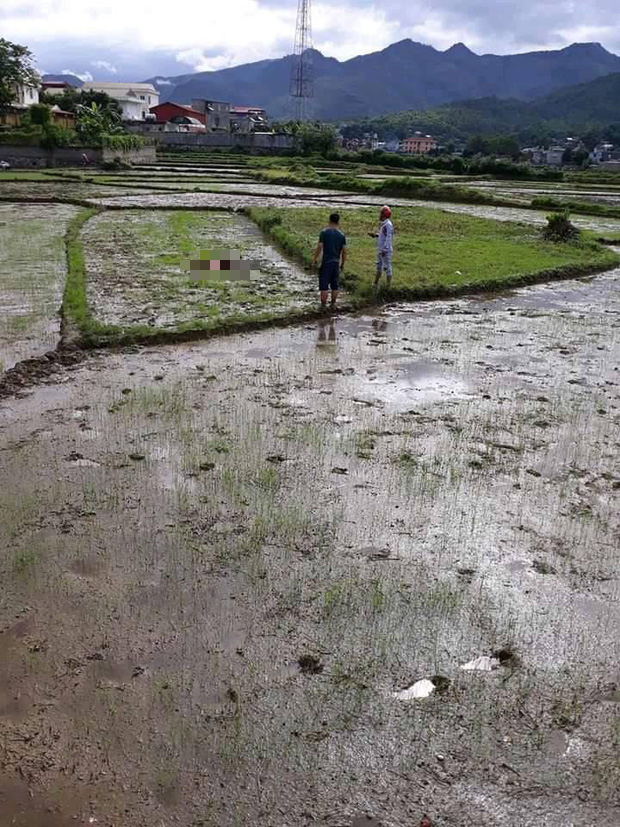 Thảm án 3 người chết ở Điện Biên: Nghi phạm gây án đã tử vong thì xử lý thế nào? - Ảnh 2.