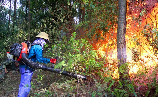Hơn 1000 người đang căng mình dập đám cháy rừng lan rộng ở Nghệ An - Ảnh 3.