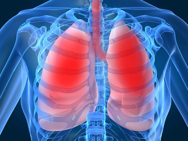 Muốn biết phổi có khỏe mạnh hay không, chỉ cần kiểm tra 3 dấu hiệu này trên bàn tay - Ảnh 2.