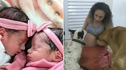 Chú chó ghen tị vì chủ chỉ lo chăm con mà bỏ bê mình nên đã tấn công cặp song sinh 26 ngày tuổi đến mức tử vong
