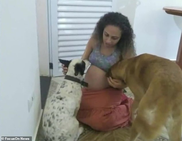Ghen tị vì chủ nhân chỉ lo chăm con mà bỏ bê mình, chú chó đã tấn công cặp bé gái song sinh 26 ngày tuổi đến mức tử vong - Ảnh 3.