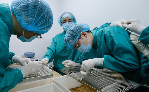Vắc xin Covid-19 made in Việt Nam sắp thử nghiệm trên người có gì đặc biệt? - Ảnh 1.