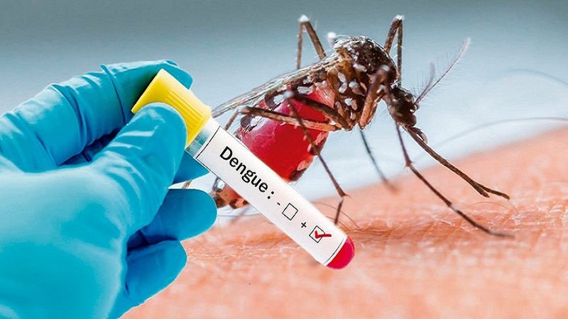 6 hiểu lầm nguy hiểm về bệnh sốt xuất huyết có thể khiến người bệnh gây tử vong - Ảnh 3.