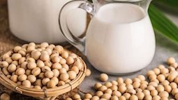 Có nên uống sữa đậu nành mỗi ngày và uống bao nhiêu là đủ?