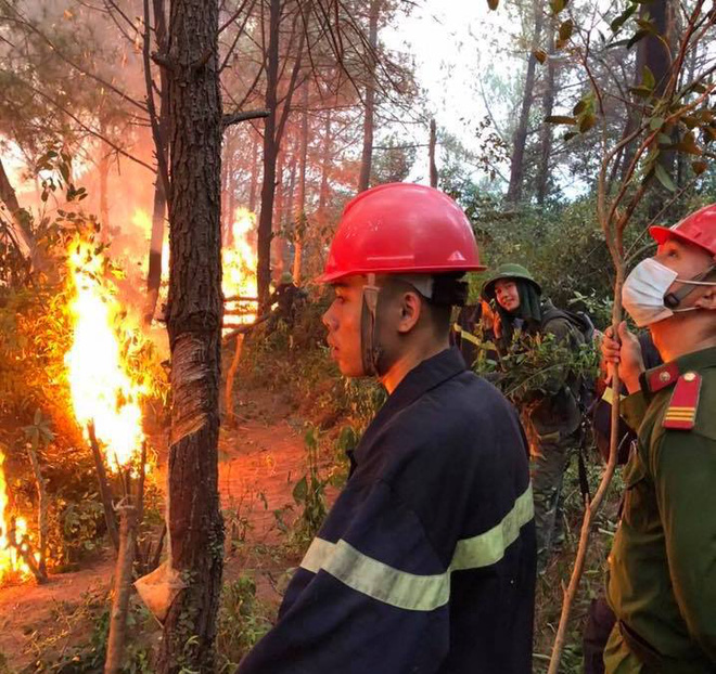 Người phụ nữ đốt rác rồi bỏ vào nhà, không ngờ lửa lan cháy cả cánh rừng - Ảnh 2.