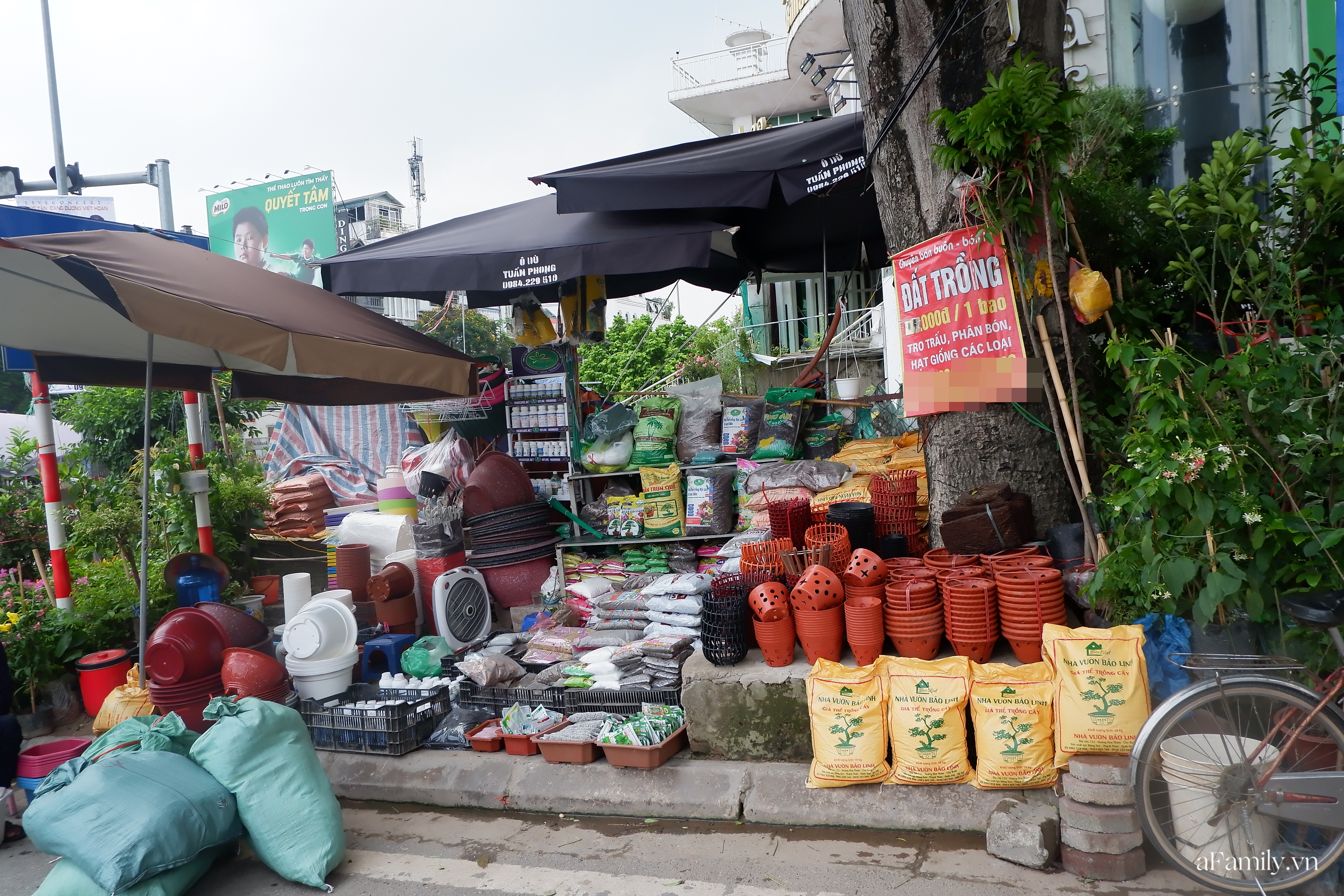 Đi chợ Bưởi mua cây và con giống: Mộc mạc nét quê từ cách bán cho tới cả giá thành ngay giữa thủ đô Hà Nội - Ảnh 8.