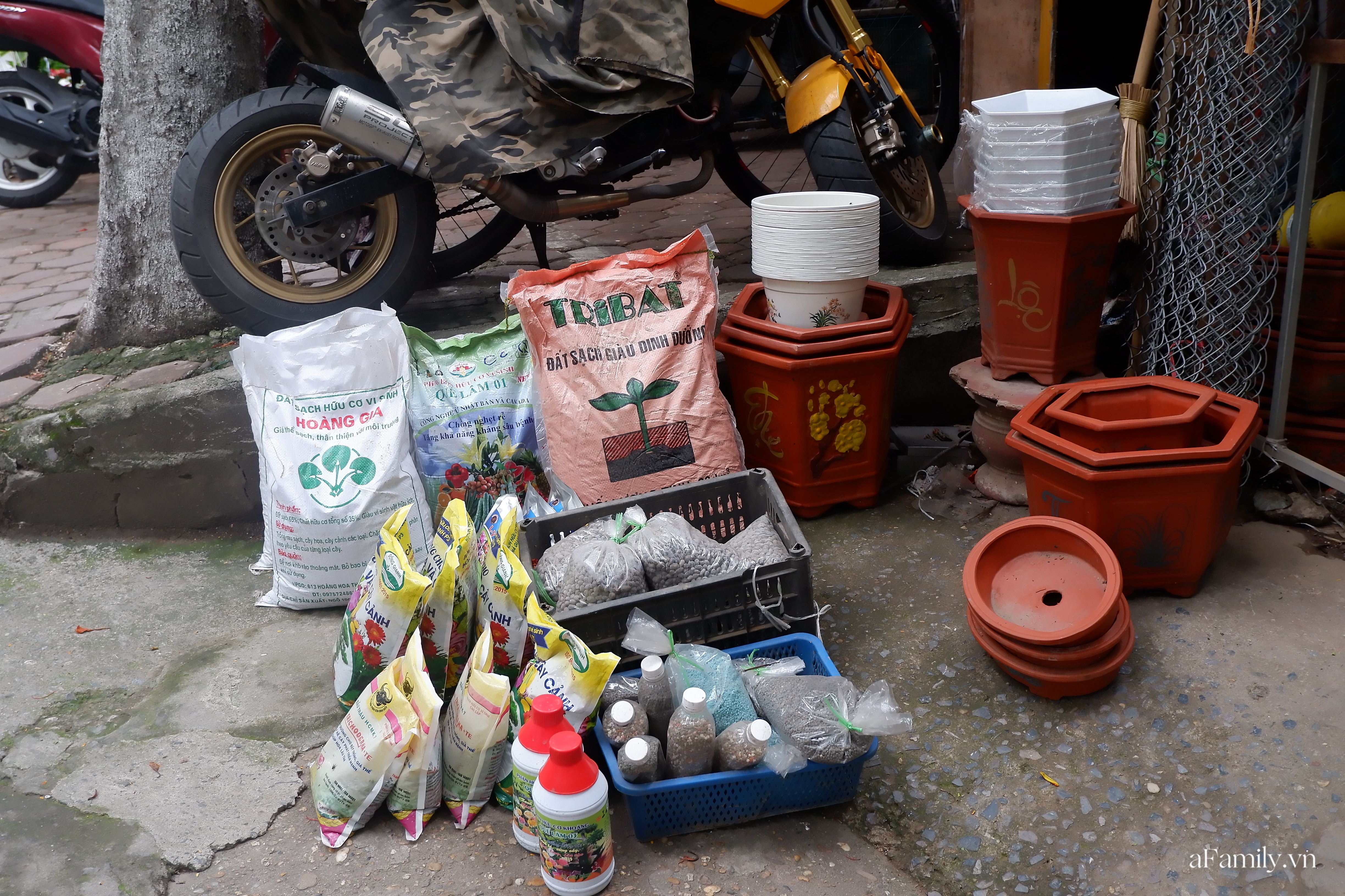 Đi chợ Bưởi mua cây và con giống: Mộc mạc nét quê từ cách bán cho tới cả giá thành ngay giữa thủ đô Hà Nội - Ảnh 9.