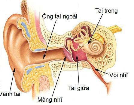 Trẻ bị viêm tai giữa, phải làm sao? - Ảnh 1.