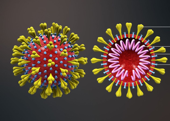 Tiến sĩ tại BV Nhi số 1 tại Mỹ phát hiện: Virus SARS-CoV-2 thay đổi hình dạng để qua mặt hệ miễn dịch! - Ảnh 2.
