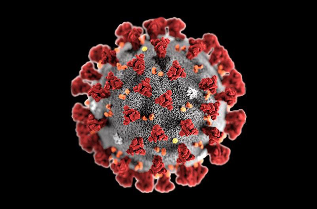 Tiến sĩ tại BV Nhi số 1 tại Mỹ phát hiện: Virus SARS-CoV-2 thay đổi hình dạng để qua mặt hệ miễn dịch! - Ảnh 1.