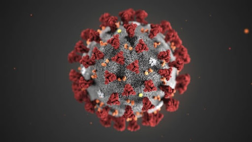Phát hiện mới: Virus nCoV bị tiêu diệt trong nước sôi và nước thường - Ảnh 1. Phát hiện mới: Virus nCoV bị tiêu diệt trong nước sôi và nước thường - Ảnh 1.