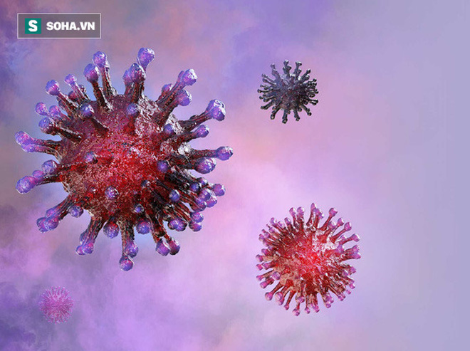 Phát hiện mới: Virus nCoV bị tiêu diệt trong nước sôi và nước thường - Ảnh 2. Phát hiện mới: Virus nCoV bị tiêu diệt trong nước sôi và nước thường - Ảnh 2.