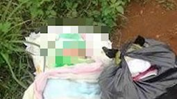 Đà Nẵng: Một trẻ sơ sinh bị bỏ rơi, tử vong thương tâm trước cổng chùa
