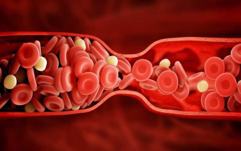 Những bộ phận có thể bị virus corona tấn công - Ảnh 5.