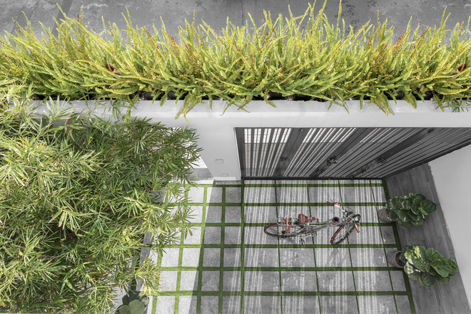 Tp.HCM: Căn nhà tạo sự ảo giác, có hồ cá Koi và vườn cây trên sân thượng - Ảnh 11.