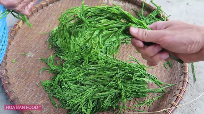 Những loại rau kỳ lạ có giá đắt hơn cả thịt cá ở Việt Nam, muốn mua ăn không phải chuyện dễ - Ảnh 19.