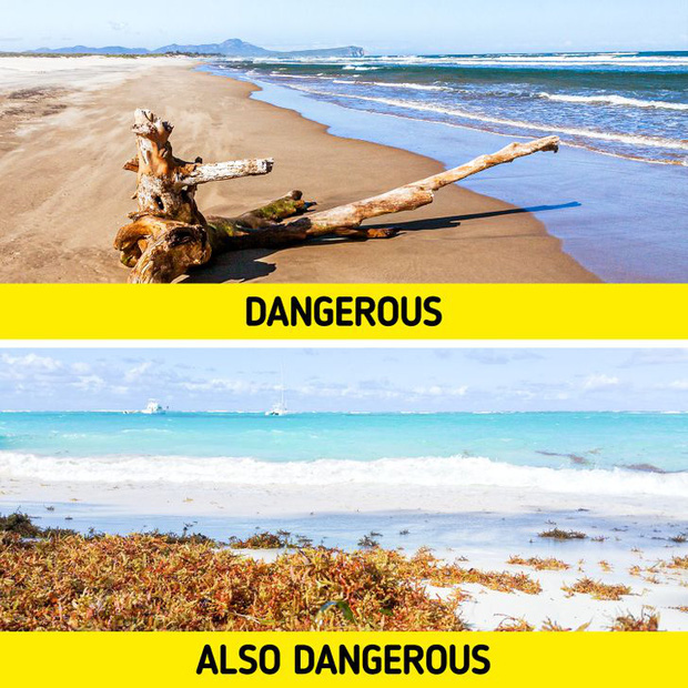7 mối nguy kinh khủng nhất có khả năng khiến chúng ta phải bỏ mạng khi đi tắm biển, và cách để đảm bảo an toàn cho bạn - Ảnh 4.