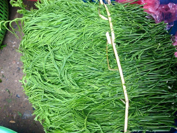 Những loại rau kỳ lạ có giá đắt hơn cả thịt cá ở Việt Nam, muốn mua ăn không phải chuyện dễ - Ảnh 16.