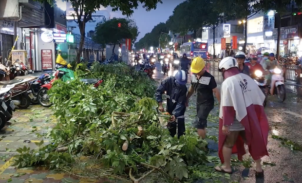 TP.HCM: Cây xanh tét nhánh, rơi đè trúng cô gái bị thương, bạn trai hoảng loạn kêu cứu  - Ảnh 1.