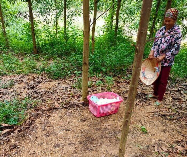 Bé gái sơ sinh bị bỏ rơi ven đường kèm tờ giấy: “Tôi không đủ điều kiện nuôi, ai nhặt được nuôi dùm” - Ảnh 1.