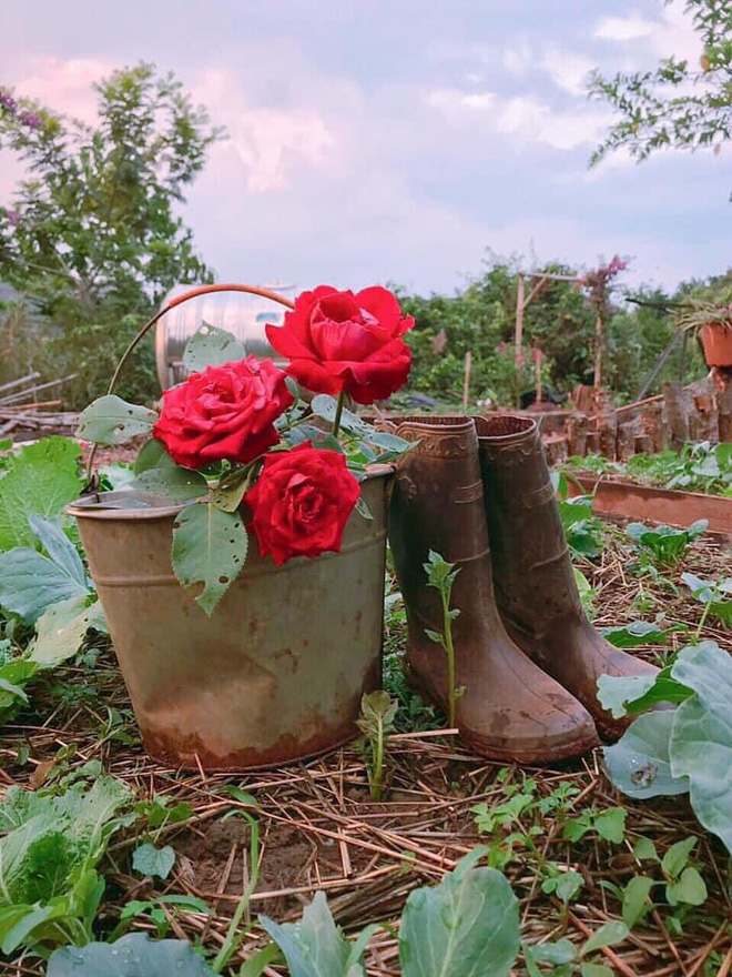 Cặp đôi Sài Gòn bỏ thành phố lên Tây Nguyên trồng rau, nuôi cá, xây dựng cuộc sống tựa cổ tích - Ảnh 5.