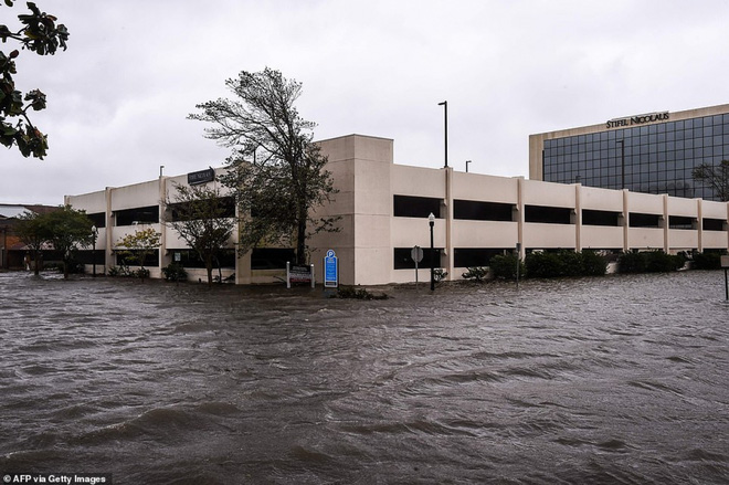 Bão Sally gây lụt lịch sử tại Mỹ, quật đổ cây cối, nhấn chìm đường phố trong biển nước - Ảnh 2.