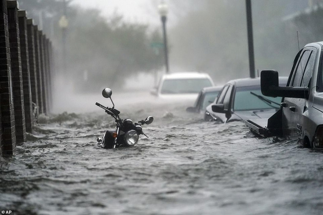 Bão Sally gây lụt lịch sử tại Mỹ, quật đổ cây cối, nhấn chìm đường phố trong biển nước - Ảnh 8.