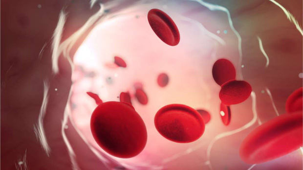 Nhóm máu duy nhất có thể tự động chống lại căn bệnh giết nửa triệu người mỗi năm, và cuối cùng khoa học cũng hiểu lý do tại sao - Ảnh 2.