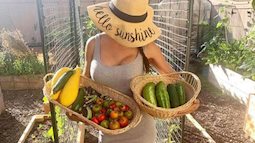 Khu vườn ngoại ô thu hoạch quanh năm không hết rau quả của bà mẹ hai con