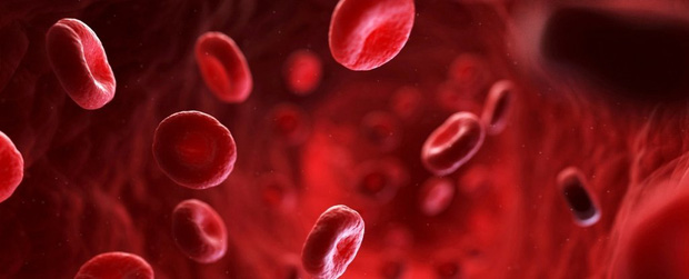 Nhóm máu duy nhất có thể tự động chống lại căn bệnh giết nửa triệu người mỗi năm, và cuối cùng khoa học cũng hiểu lý do tại sao - Ảnh 3.