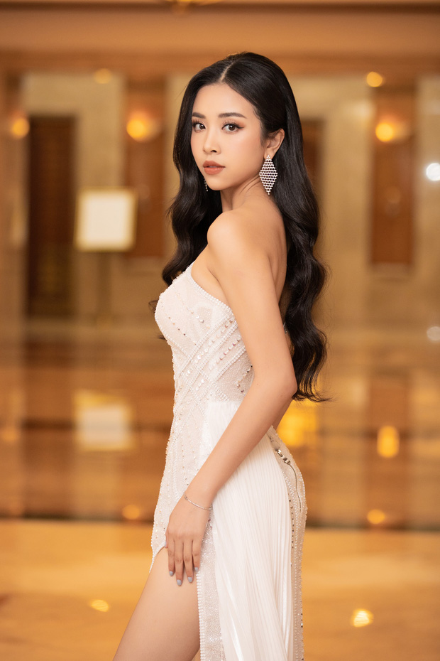 “Quân đoàn” Hoa hậu Á hậu lộng lẫy đổ bộ thảm đỏ họp báo HHVN 2020, Tiểu Vy đội vương miện 3 tỉ chiếm trọn spotlight - Ảnh 8.
