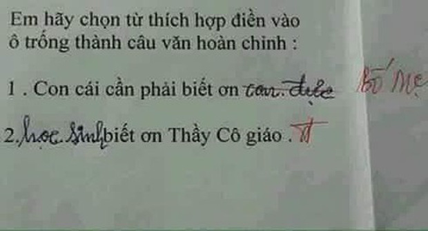 Học trò lớp 1 điền thành ngữ siêu lầy khiến cô giáo cười nắc nẻ, dân tình ôm đầu: Cuộc sống bị bóc trần trụi thế này đây! - Ảnh 5.