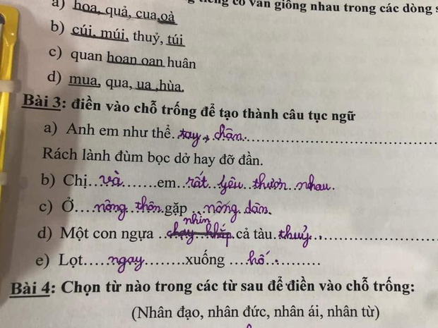 Học trò lớp 1 điền thành ngữ siêu lầy khiến cô giáo cười nắc nẻ, dân tình ôm đầu: Cuộc sống bị bóc trần trụi thế này đây! - Ảnh 1.