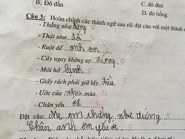 Học trò lớp 1 điền thành ngữ siêu lầy khiến cô giáo cười nắc nẻ, dân tình ôm đầu: Cuộc sống bị bóc trần trụi thế này đây! - Ảnh 2.