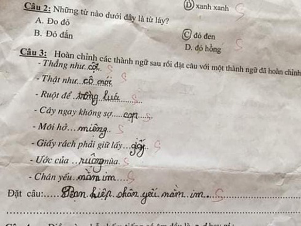 Học trò lớp 1 điền thành ngữ siêu lầy khiến cô giáo cười nắc nẻ, dân tình ôm đầu: Cuộc sống bị bóc trần trụi thế này đây! - Ảnh 3.