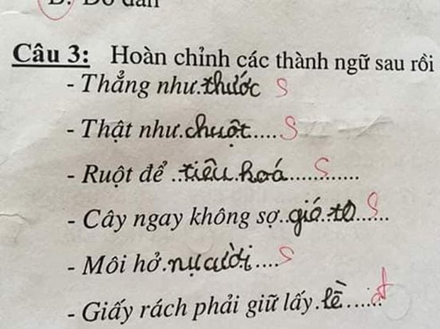 Học trò lớp 1 điền thành ngữ siêu lầy khiến cô giáo cười nắc nẻ, dân tình ôm đầu: Cuộc sống bị bóc trần trụi thế này đây! - Ảnh 4.