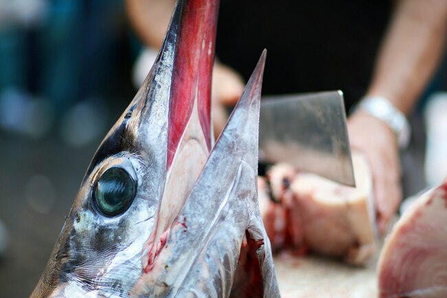 Cá - loại giàu omega-3, loại chứa độc tố: Cá hồi, rô phi, cá thu, cá ngừ... thuộc loại nào? - Ảnh 3.
