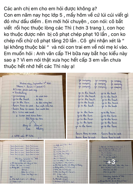 Ấm ức vì con bị cô giáo bắt chép phạt 20 lần, bà mẹ lên mạng tố cáo nhưng không ngờ các vị phụ huynh khác đều có chung một câu trả lời - Ảnh 1.