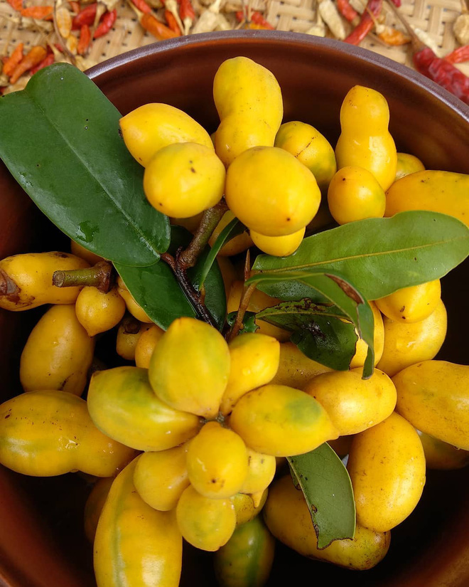 Việt Nam có 10 loại trái cây cực hiếm người biết mọc đầy ở các vùng quê, nghe tên thôi đã thấy lạ chứ nói chi ăn thử - Ảnh 1.