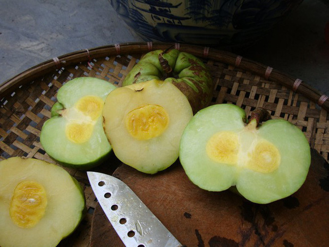 Việt Nam có 10 loại trái cây cực hiếm người biết mọc đầy ở các vùng quê, nghe tên thôi đã thấy lạ chứ nói chi ăn thử - Ảnh 16.