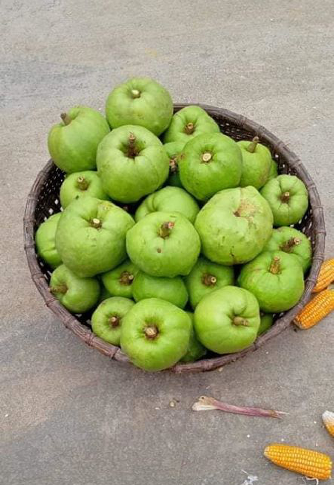 Việt Nam có 10 loại trái cây cực hiếm người biết mọc đầy ở các vùng quê, nghe tên thôi đã thấy lạ chứ nói chi ăn thử - Ảnh 17.
